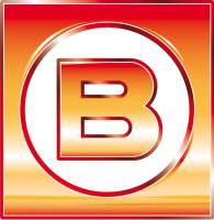 Logo BRINKMANN